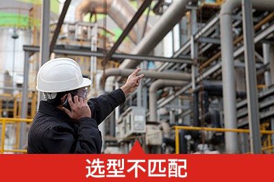 仅电话沟通不清楚、效率低，选型不匹配、成本增加